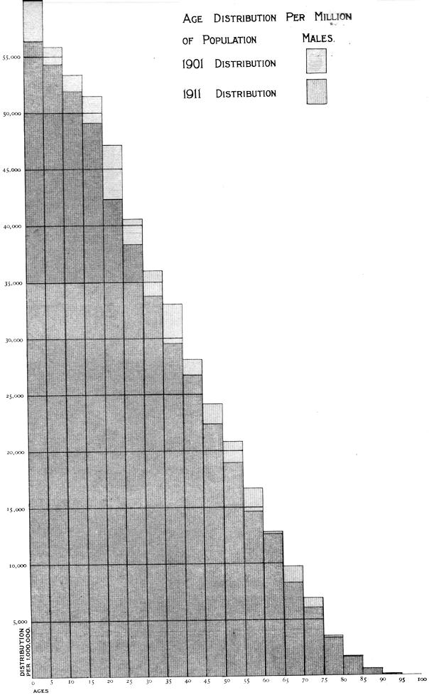 Graph of age distribution per million of population, males, in 1901 and 1911